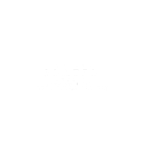 logo-vincent-platel.png